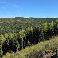 Ausblick am Kleinen Jauerlinggipfelkamm