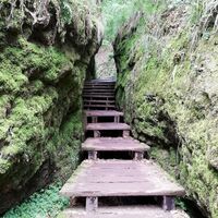 Holztreppen in der Drachenschlucht im Mariental bei Eisenach