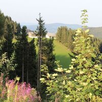 Brandlucken-Ausblick_Naturpark Almenland_Oststeiermark