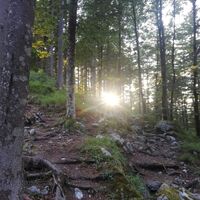 Am Weg zum Winnerfall
