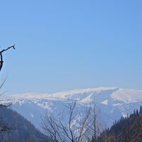 Puchberg - Schneebergdörfl - Mieseltal - Waxriegel