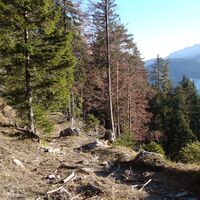 Gemütliche Wanderwege am Singerberg