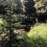am Fluß