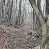 Aufstieg nach der Cholerakapelle