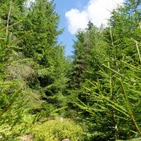 Historische Sportstätten Wanderung bei Oberhof