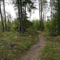 Mikonsaari Naturpfad