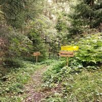 Weg zum Wasserrad