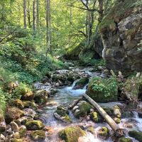 Den Bach entlang