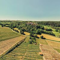 Blick auf Burg Liebenstein | Neckarwestheim | HeilbronnerLand