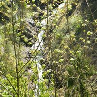 Blick vom Mauthäusl in die Schlucht
