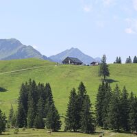 Blick zur Alpe Mittelberg