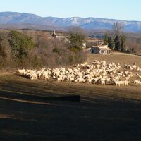 Rando des Rajols-0005 @CDRP34