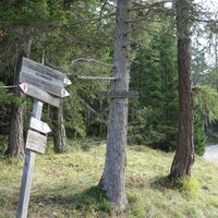am Weg zum Felixer Weiher