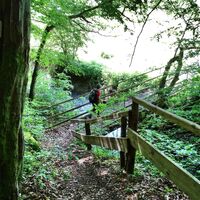 Brücke über den Katzenbach