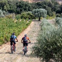 Mountainbike-zwischen-weinbergen-und-olivenbäumen©VTOPO-XLigonnet