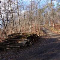 am Holzweg, nahe Hengelwand