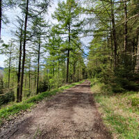 Auf dem Wanderweg Le1 und F3