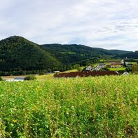 Blick zu Mandlgupf, Hinterberg und St. Anna Kirche