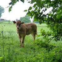 Natursteig Sieg Etappe 11