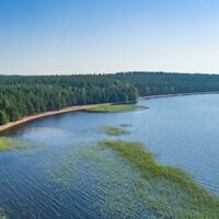 Päihäniemi