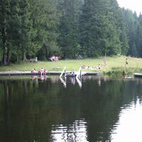 Naturbadeteich Rettenegg_Teich_Oststeiermark