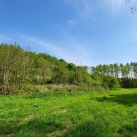 Fläche der alten Bodenaushubdeponie