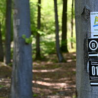 Wegweiser Bestwiger BestWeg Ostwig in Richtung des Steinberges