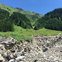 Zwischen Elfer und Zwölfer