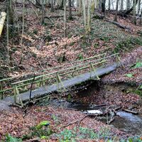 Dörper Hutewald-Runde_6082.JPG