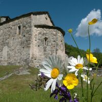 146349_Chiesa S. Remigio Boscero-Corzoneso (1).JPG