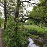 Schwarzbach entlang des Weges