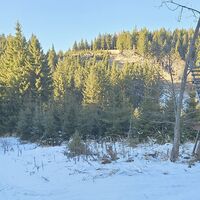 Hochstand im Tal