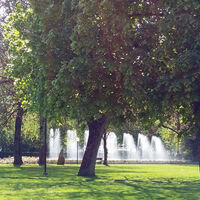 kurpark-bad-zurzach-wassersinfonie