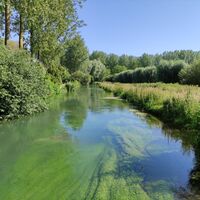 Ancre-Tal