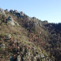 Abstieg am Vogelbergsteig