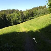 Übergang zum Gehöft Haag