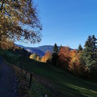 Von Andelsbuch Richtung Bezegg