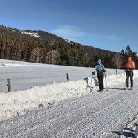 Auf geräumten Forststraßen wandern wir gemütlich dahin