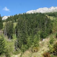 Blick hoch zum Großen Wildkamm