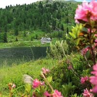 Colbricon See und Hütte
