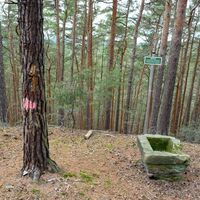 Rundwanderung auf den Spuren König Otto I - Taufstein