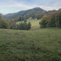 Kruckenbrettl - Trail