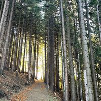 Freithofberg-Trail - Maria Neustift