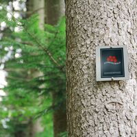 Die Premiumwege "Teinacher" und "Wasser-, Wald- und Wiesenpfad" sind mit dem Bollenhut markiert