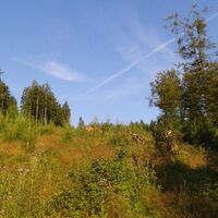 Am Wanderweg W8 auf dem Hohen Eimberg