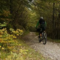 Forstweg in Richtung Carobbi