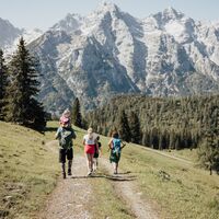 Rückweg über die Alm.