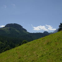 der bewaldete Gipfel des Nojer, da war ma auch schon oben