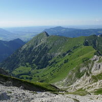 die Rotspitze macht ihrem Namen, bis auf das Rot, alle Ehre