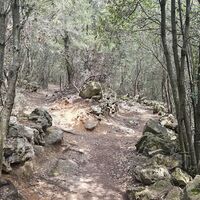 Trail